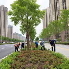 今年会jinnianhui 北安城市绿化带种植什么植物比较好